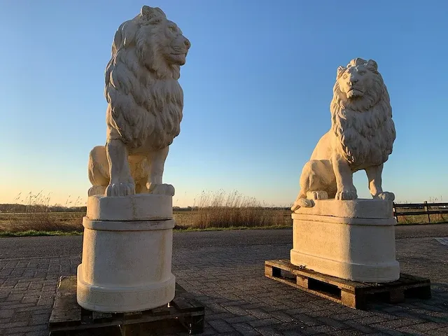 Tuinbeeld - afbeelding 4 van  5