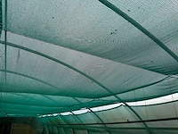 Tuinbouw schaduwgaas - afbeelding 2 van  7