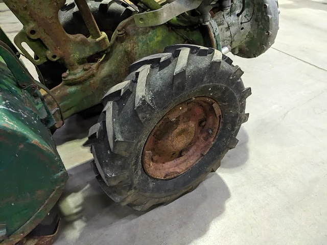 Tuinfrees, agria, 2600 z - afbeelding 4 van  20