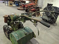 Tuinfrees, agria, 2600 z - afbeelding 6 van  20