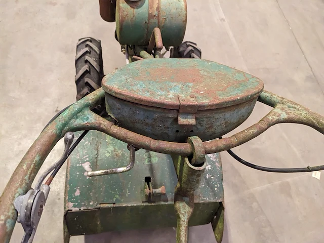 Tuinfrees, agria, 2600 z - afbeelding 7 van  20