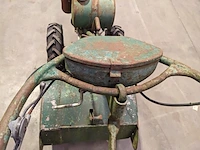 Tuinfrees, agria, 2600 z - afbeelding 7 van  20