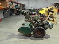 Tuinfrees, agria, 2600 z - afbeelding 1 van  20