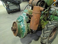 Tuinfrees, agria, 2600 z - afbeelding 20 van  20