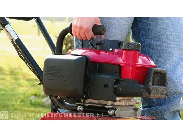 Tuinfrees honda, fg 201 - afbeelding 2 van  3