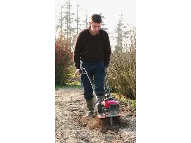 Tuinfrees honda, fg 201 - afbeelding 3 van  3