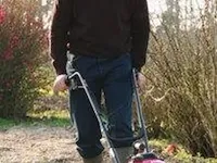 Tuinfrees honda, fg 201 - afbeelding 3 van  3