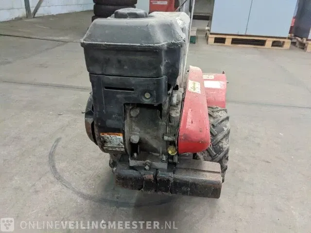 Tuinfrees hvc, vcrt5 - afbeelding 3 van  14