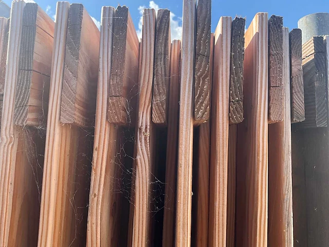 Tuinscherm 19 planks met deur douglas (16x) - afbeelding 6 van  6