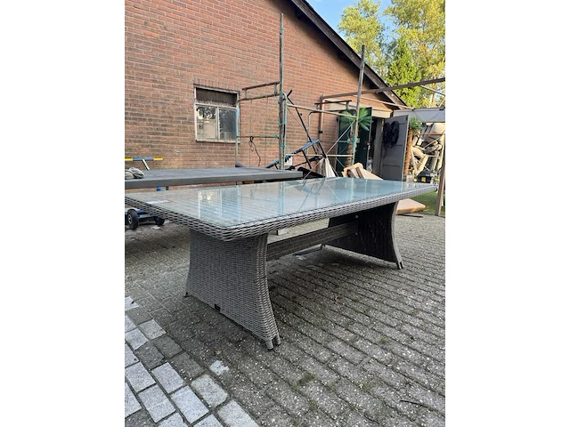 Tuintafel met glasplaat 228x108x74 cm - afbeelding 3 van  7