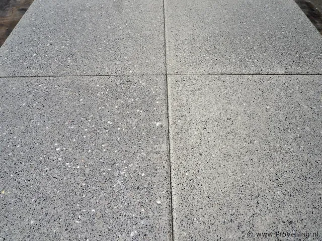 Tuintegels van beton - kleur licht - 40x40x4cm - 9,6m² - afbeelding 3 van  4