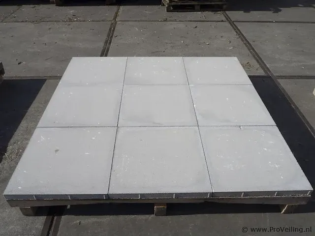 Tuintegels van beton - kleur lichtgrijs - 60x60x4,4cm - 22m² - afbeelding 3 van  10