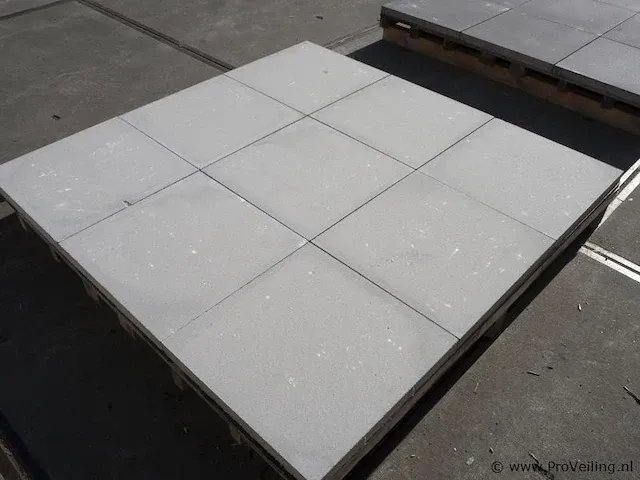 Tuintegels van beton - kleur lichtgrijs - 60x60x4,4cm - 22m² - afbeelding 5 van  10