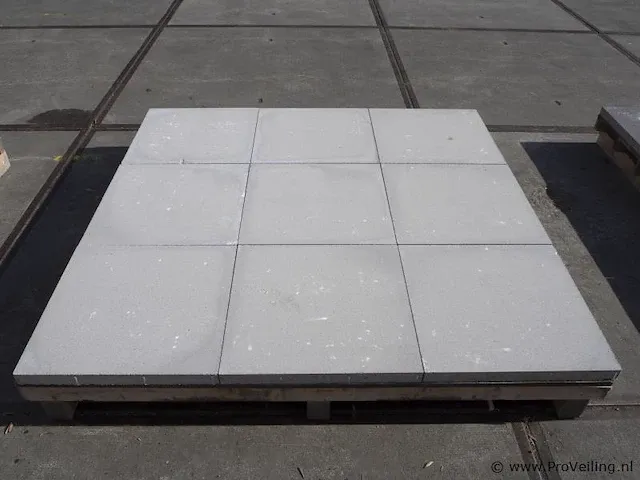 Tuintegels van beton - kleur lichtgrijs - 60x60x4,4cm - 22m² - afbeelding 6 van  10
