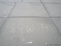 Tuintegels van beton - kleur lichtgrijs - 60x60x4,4cm - 22m² - afbeelding 8 van  10