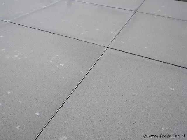 Tuintegels van beton - kleur lichtgrijs - 60x60x4,4cm - 22m² - afbeelding 9 van  10