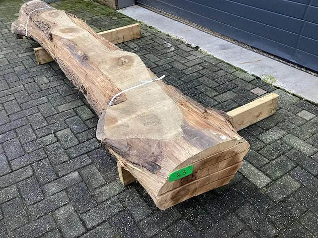 Tulpenhout kd gedroogd - afbeelding 1 van  6