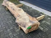 Tulpenhout kd gedroogd - afbeelding 1 van  6