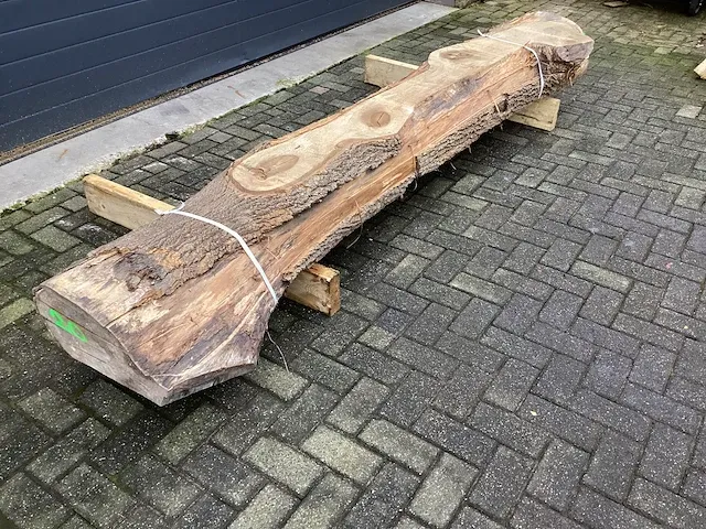 Tulpenhout kd gedroogd - afbeelding 3 van  6