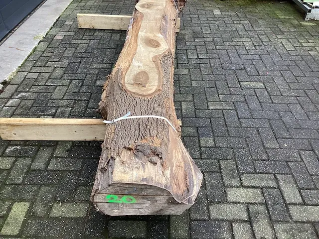 Tulpenhout kd gedroogd - afbeelding 4 van  6
