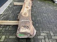 Tulpenhout kd gedroogd - afbeelding 4 van  6
