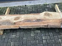 Tulpenhout kd gedroogd - afbeelding 5 van  6