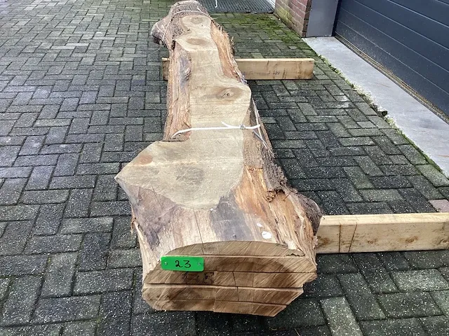 Tulpenhout kd gedroogd - afbeelding 6 van  6