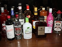 Twaalf flessen drank w.o. whisky, tequila, wodka, sambuca, amaretto, etc. - afbeelding 1 van  2