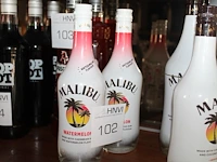 Twee flessen malibu watermelon. - afbeelding 1 van  2