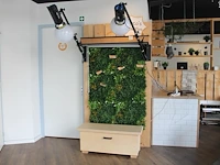Twee flitslampen mettle 400 q met diffuser en wandbeugel. let op exclusief meubel, groen en achterwanden