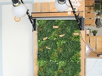 Twee flitslampen mettle 400 q met diffuser en wandbeugel. let op exclusief meubel, groen en achterwanden - afbeelding 2 van  11