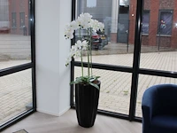 Twee kunstorchideeen in pot, hoogte 160cm. - afbeelding 1 van  3