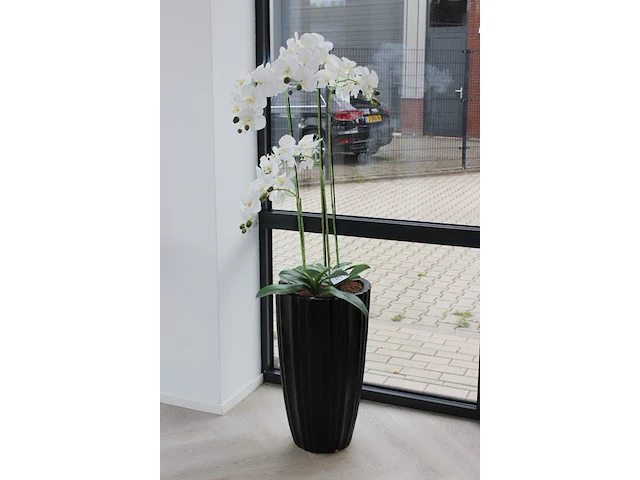 Twee kunstorchideeen in pot, hoogte 160cm. - afbeelding 2 van  3