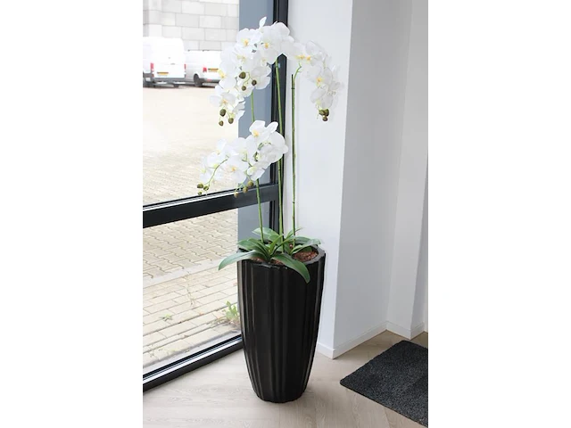 Twee kunstorchideeen in pot, hoogte 160cm. - afbeelding 3 van  3