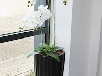 Twee kunstorchideeen in pot, hoogte 160cm. - afbeelding 3 van  3