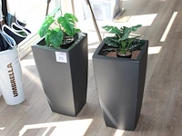 Twee kunstplanten in kunststof plantenbakken met hoogte 80 cm. - afbeelding 1 van  2