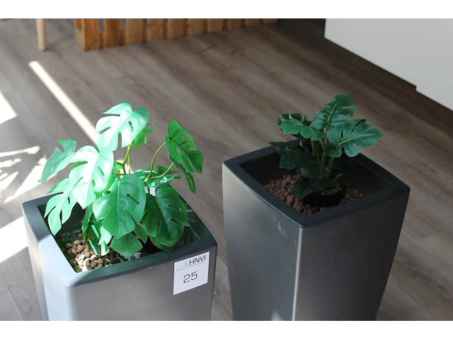 Twee kunstplanten in kunststof plantenbakken met hoogte 80 cm. - afbeelding 2 van  2