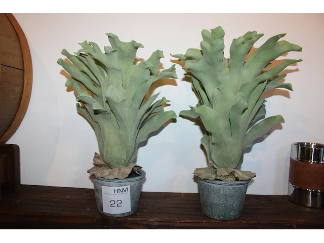 Twee kunstplanten in pot, hoogte ca 40 cm. - afbeelding 1 van  1