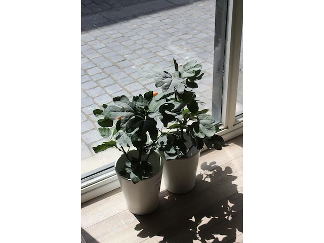Twee kunstplanten in pot met hoogte 65 cm. - afbeelding 2 van  2