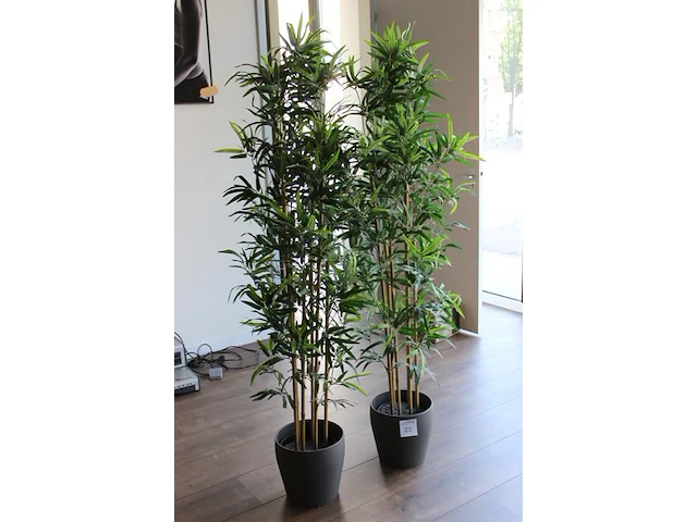 Twee kunstplanten in pot met hoogte circa 180 cm. - afbeelding 1 van  2