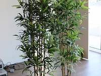 Twee kunstplanten in pot met hoogte circa 180 cm. - afbeelding 1 van  2