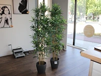 Twee kunstplanten in pot met hoogte circa 180 cm. - afbeelding 2 van  2