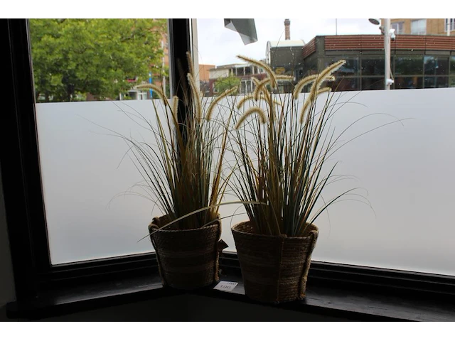 Twee kunstplanten in rieten mand. - afbeelding 1 van  2