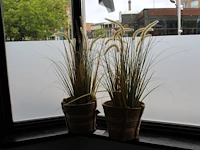 Twee kunstplanten in rieten mand. - afbeelding 1 van  2