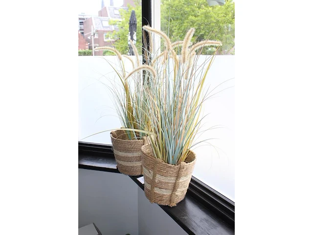 Twee kunstplanten in rieten mand. - afbeelding 2 van  2