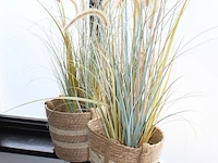 Twee kunstplanten in rieten mand. - afbeelding 2 van  2