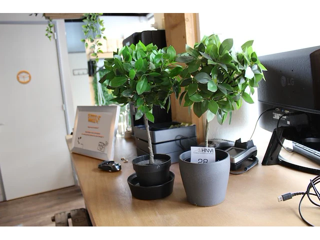 Twee kunststof planten hoogte 45 cm. - afbeelding 1 van  2