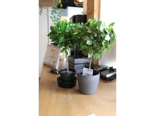 Twee kunststof planten hoogte 45 cm. - afbeelding 2 van  2