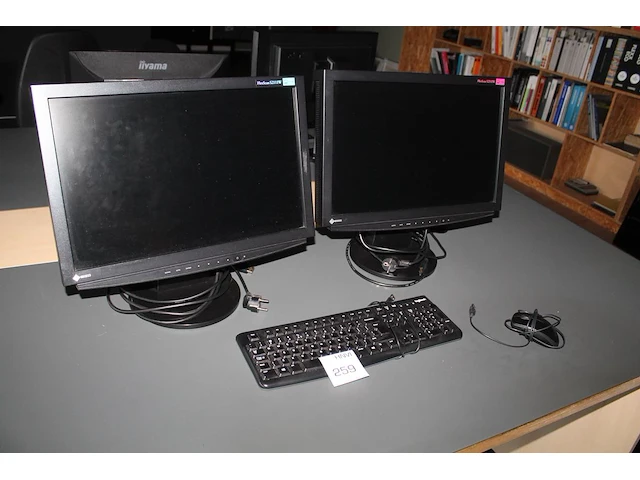 Twee monitoren eizo flexscan s240w 24 inch s2111w 21 met toetsenbord en muis. - afbeelding 1 van  3