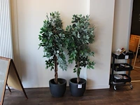 Twee stenen potten met kunstplanten met hoogte 180 cm. - afbeelding 1 van  2